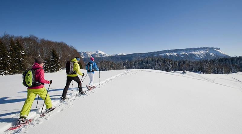 Les Chalets De Ludran Viuz-en-Sallaz Esterno foto