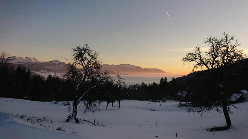 Les Chalets De Ludran Viuz-en-Sallaz Esterno foto